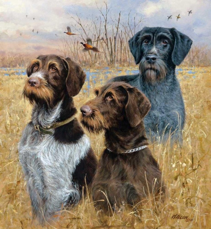 Охотничий пес Джим Киллен