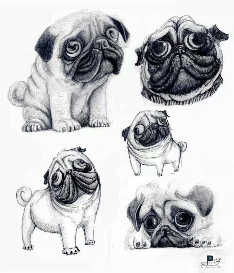 Нарисовать МОПСА