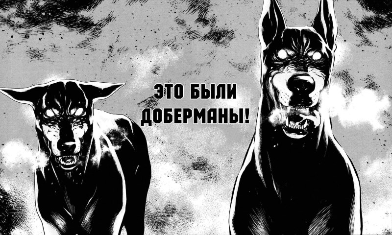 Доберман чёрно-белый арт