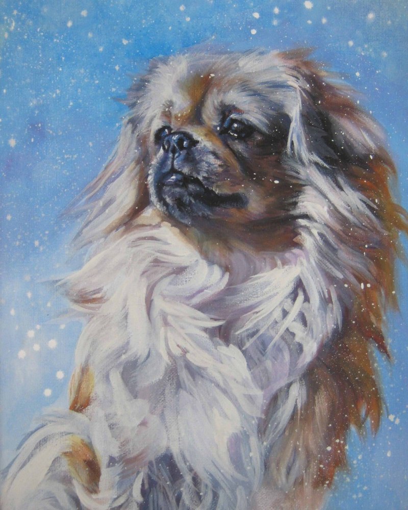 Пекинес акварель