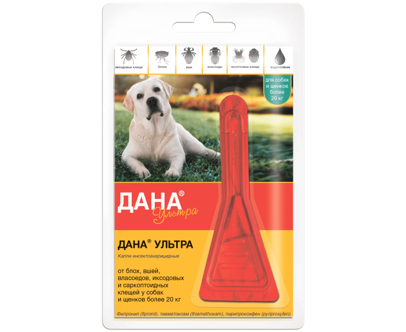 Пандус для собак Trixie 3939 156х40 см