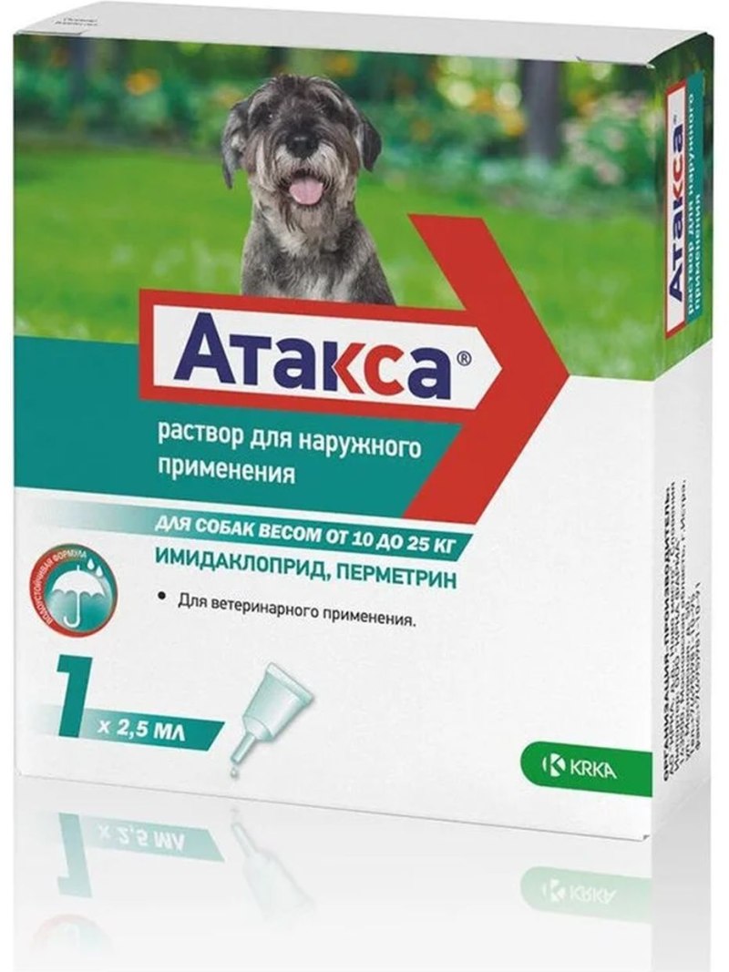Now корм для щенков мелких пород купить