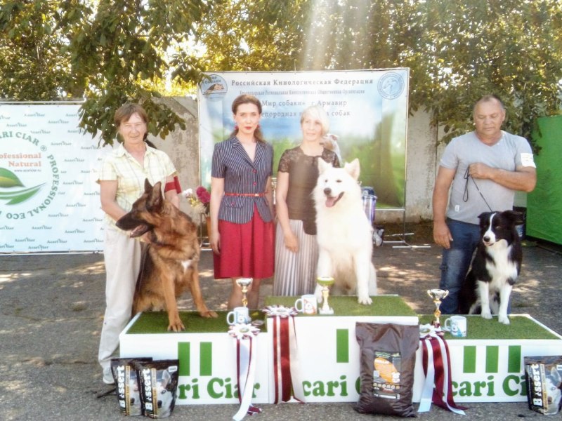 Результаты выставки