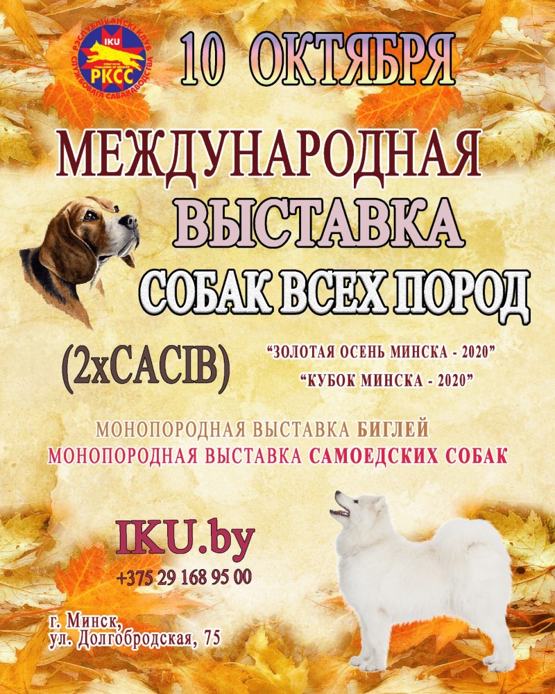 Выставка собак ВДНХ 2021
