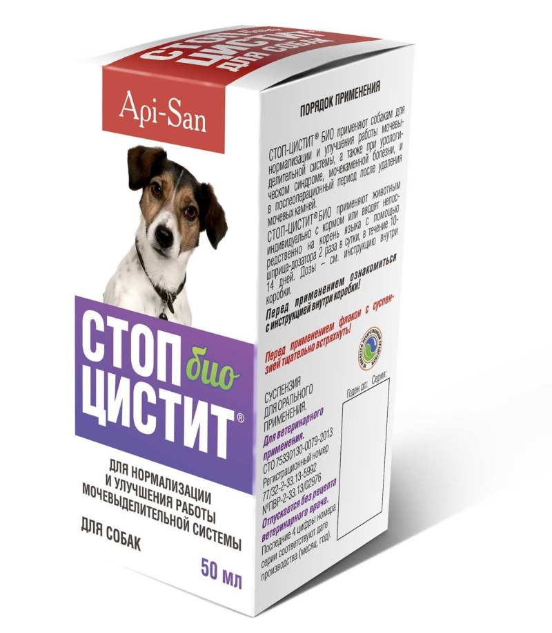 Холецистит у собак симптомы