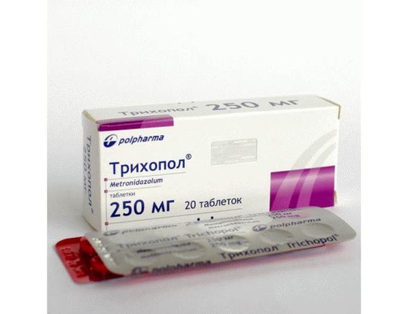 Чипирование собак