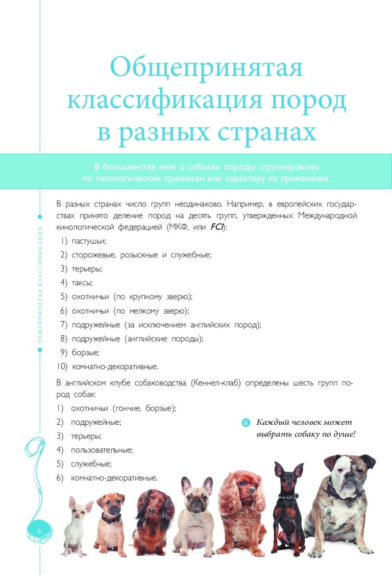 Перечень пород собак