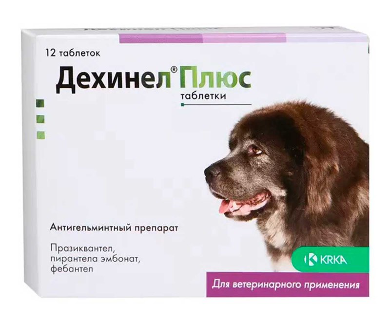 Препараты от глистов для собак Дехинел