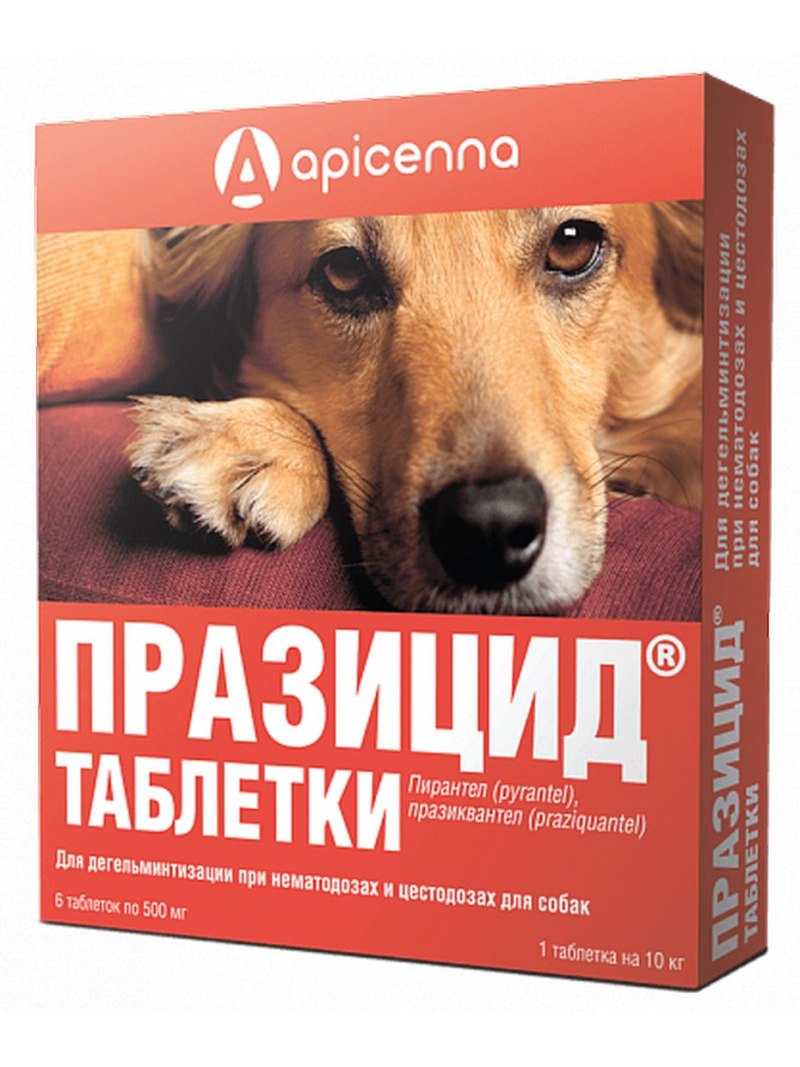 Таблетки API-San Празицид для собак, 6 шт
