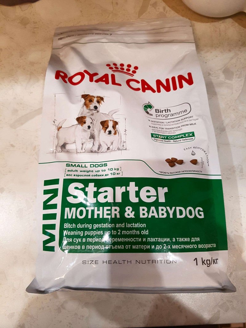 Роял Канин Starter Mini
