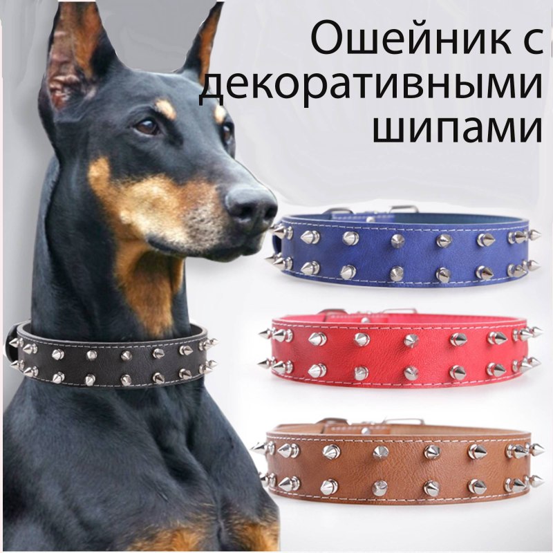 Красивые ошейники для собак крупных пород