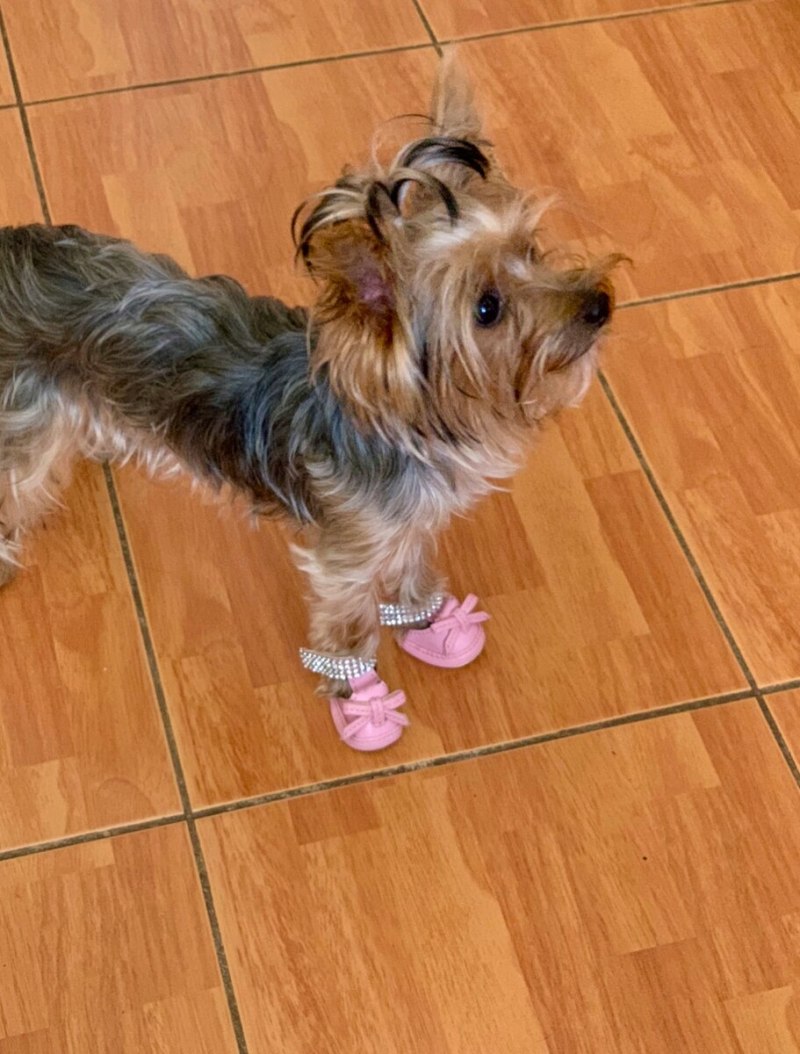 Туалет Puppy Potty Pad – лоток травка для щенков и мелких домашних животных