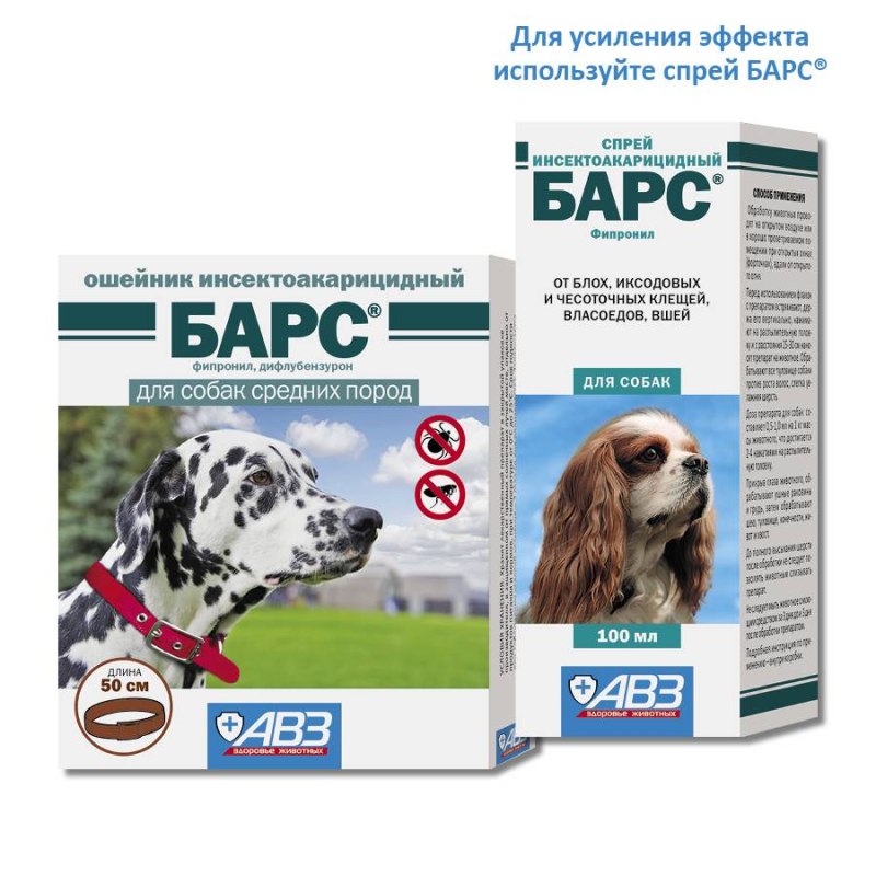 Ошейник Барс для собак