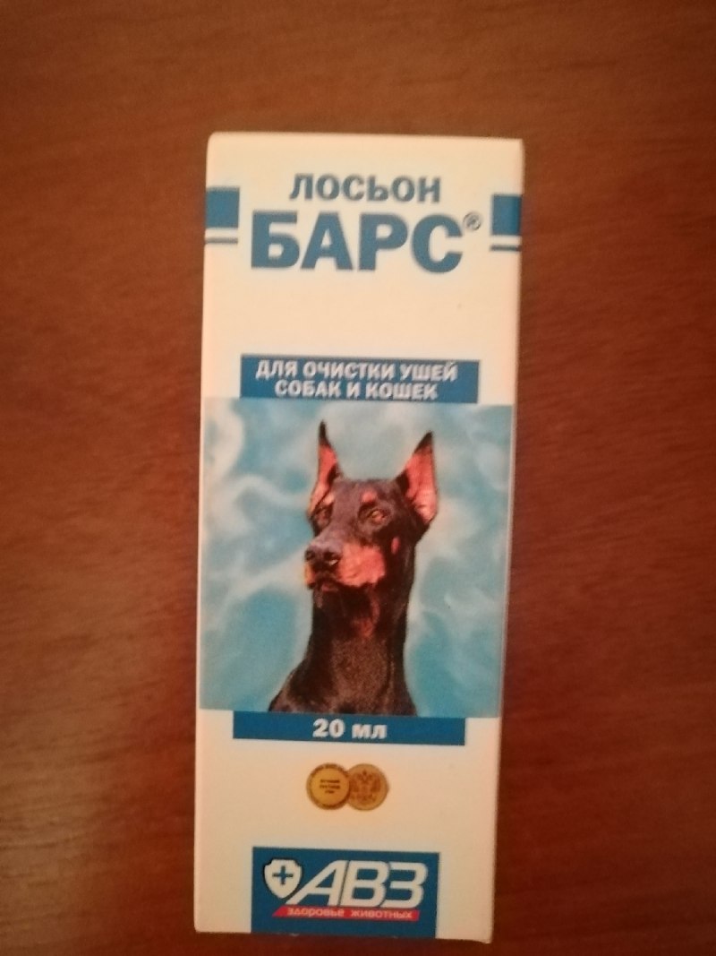 Барс для собак с красной надписью