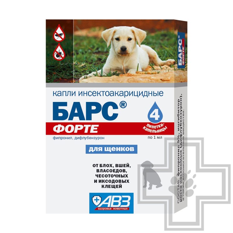 Барс форте