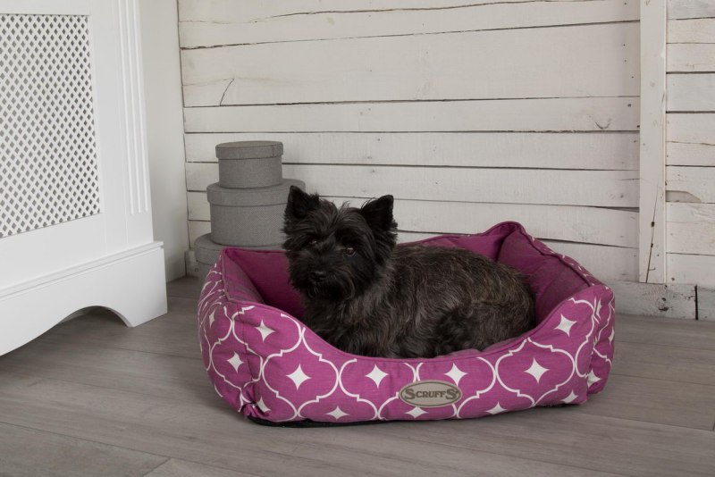 Лежак для собак Scruffs Casablanca Box Bed m 60х50 см