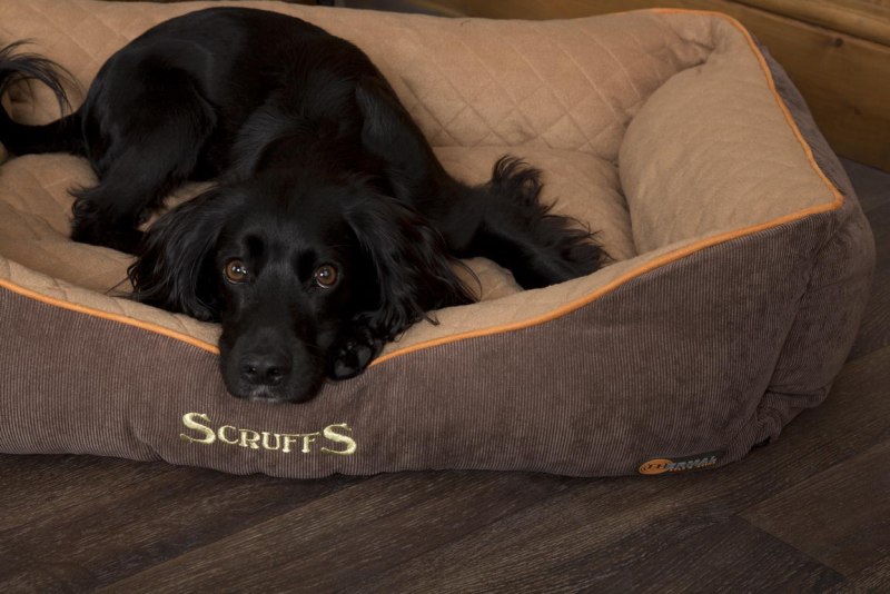 Лежак для собак Scruffs Thermal Box Bed s 50х40 см