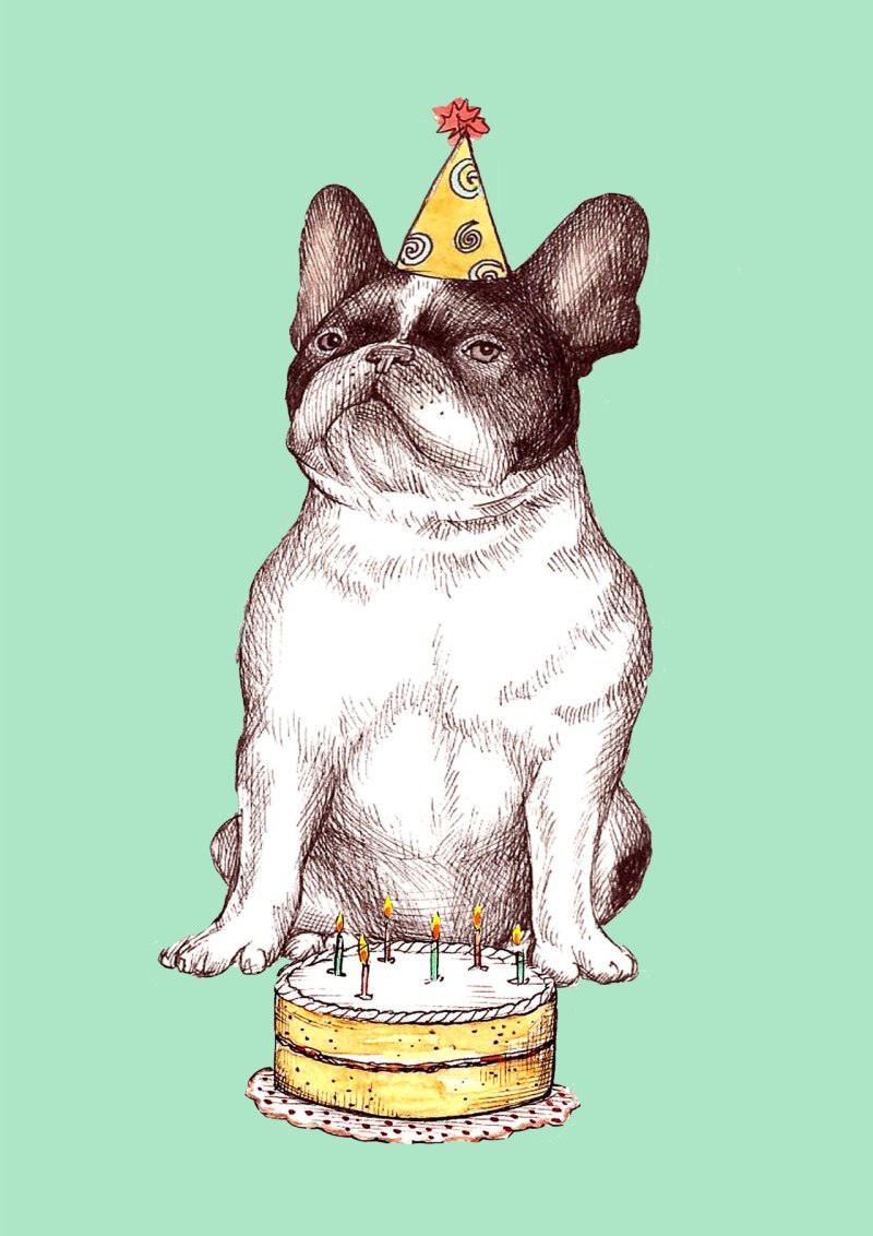 Французский бульдог Happy Birthday