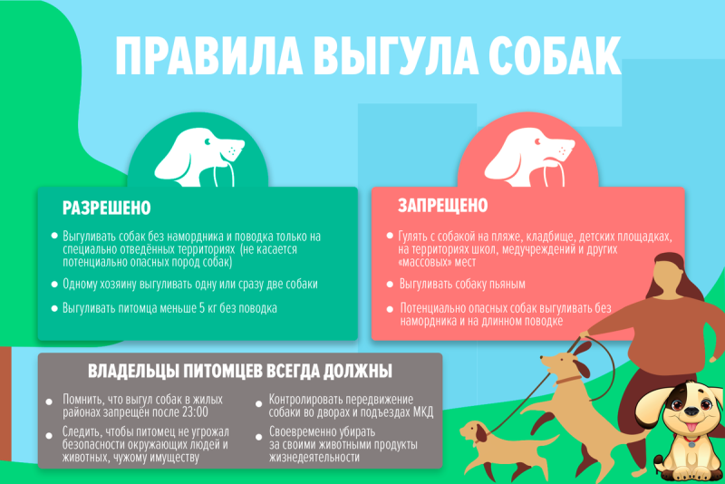 Объявление о запрете выгула собак