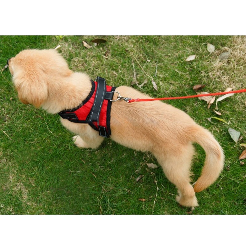Шлейка Collar Soft