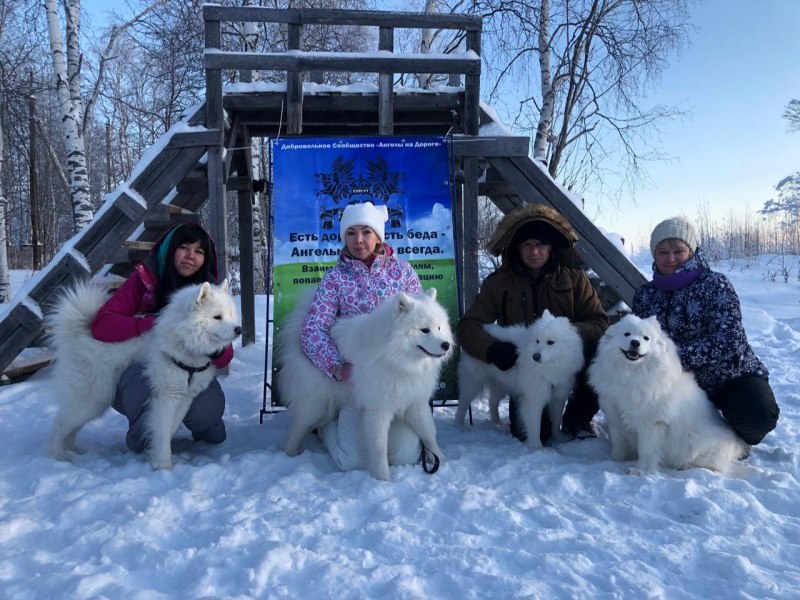 Собака ХМАО