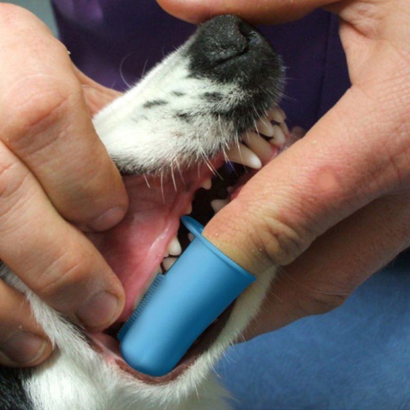 Oral Hygiene Gel