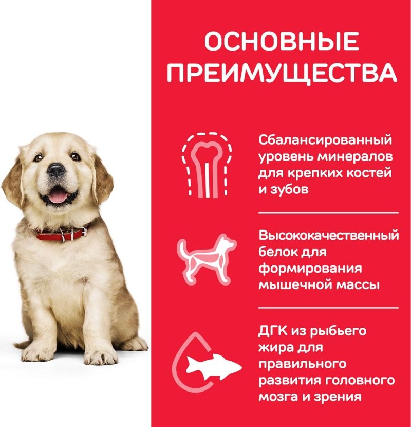 Инструкция по уходу за собакой