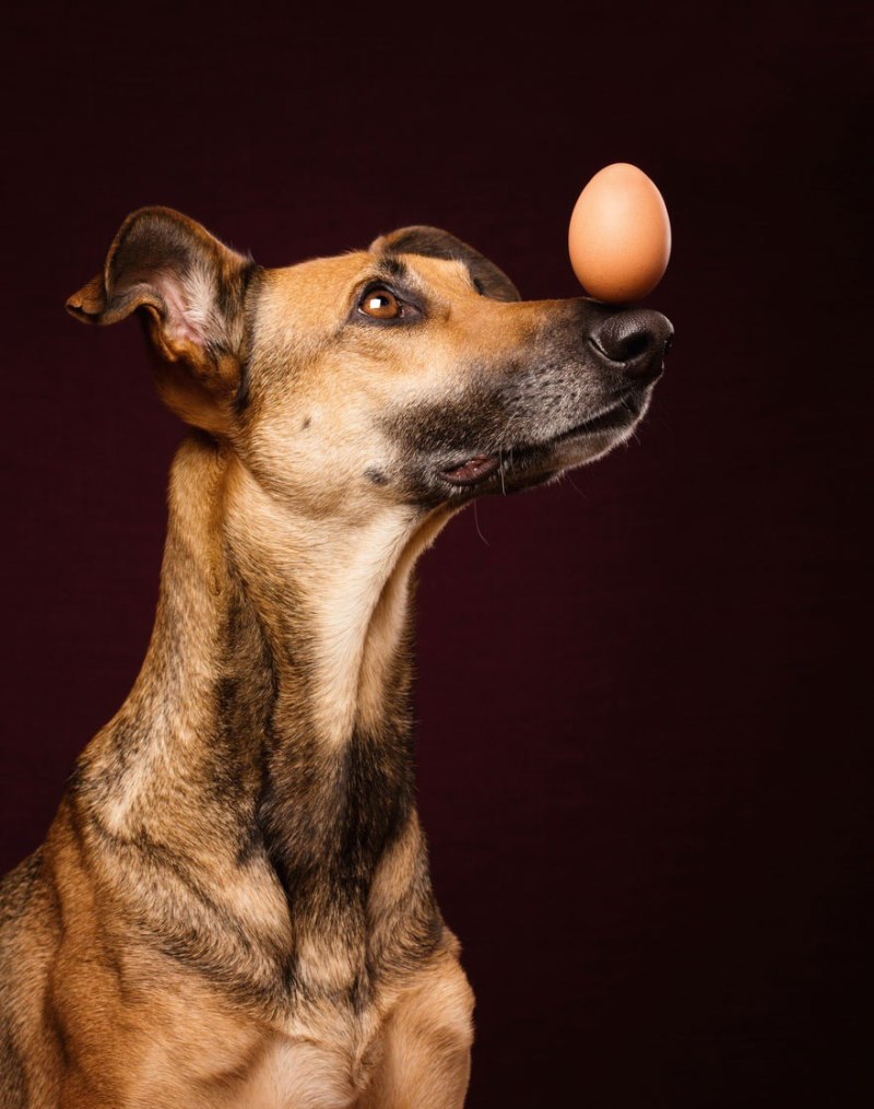 Elke Vogelsang фотограф