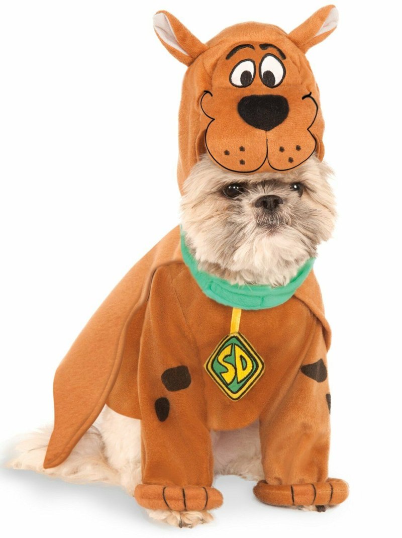 Doge в шапке