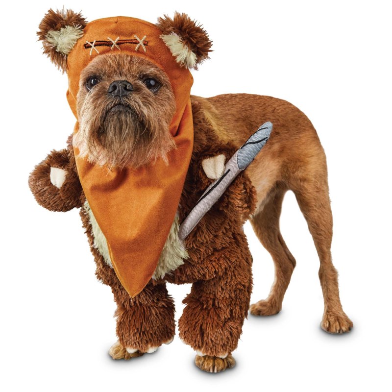 Boston Terrier bat Costume