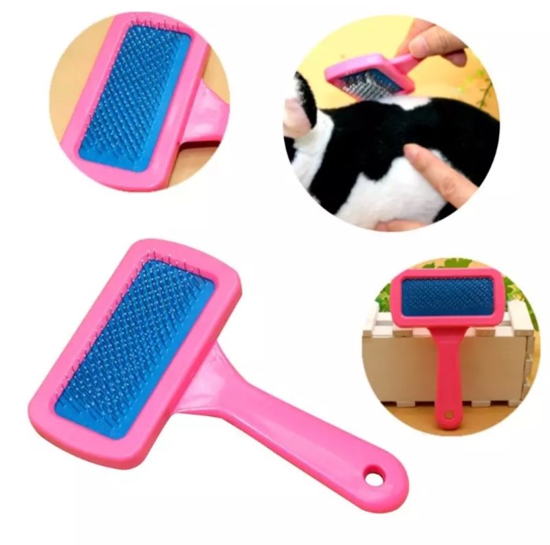 Груминг длинношерстного чихуахуа Pet Grooming