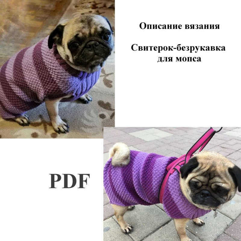Свитер для МОПСА МК
