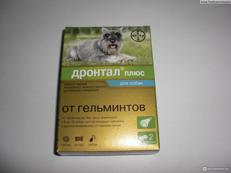 Дронтал (Bayer) таблетки для кошек (2 таблетки)