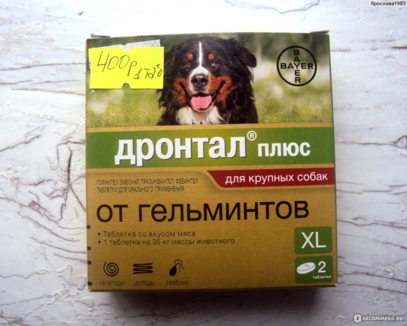 Bayer препараты для животных Дронтал плюс
