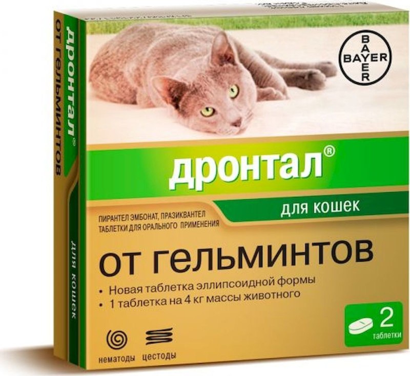 Bayer Дронтал