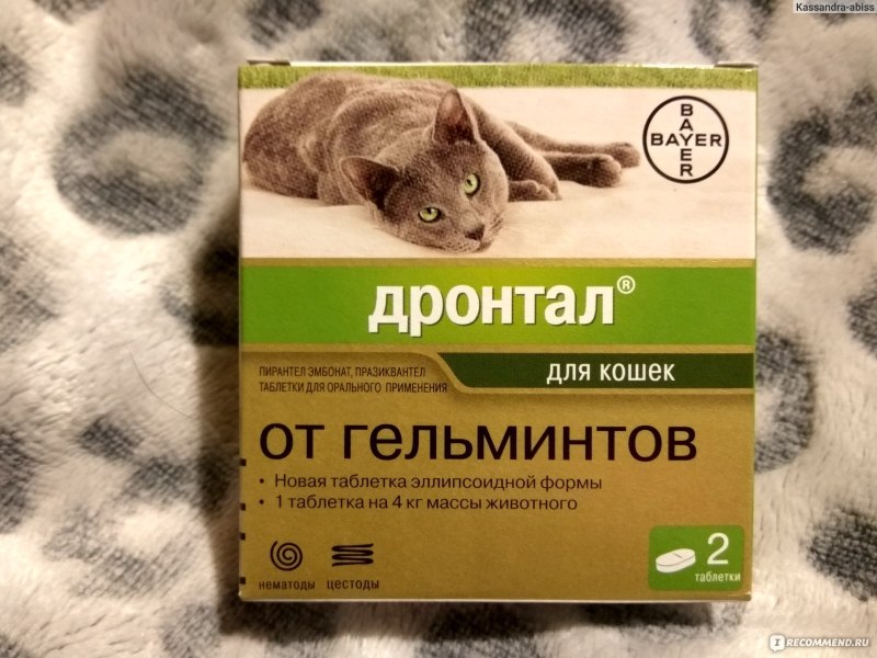 Дронтал к каплях