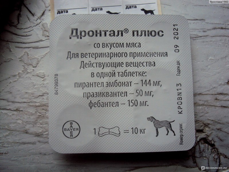 Лямблии Дронтал