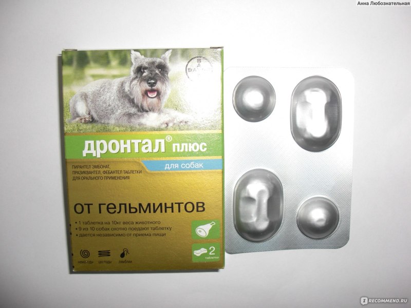 Дронтал плюс 10кг