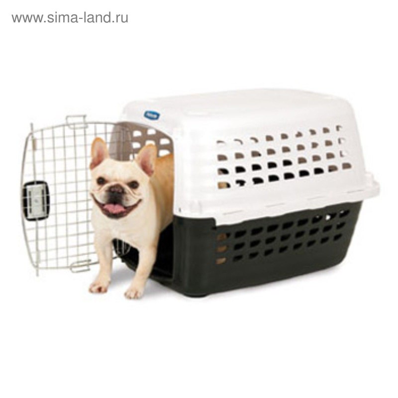 Переноска Petmate 43x61x37см