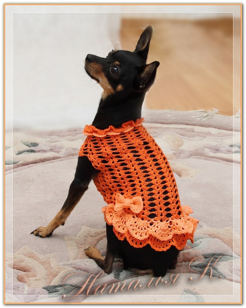 Платье для собак спицами