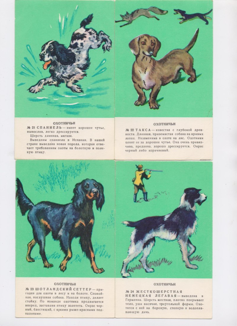 Русский охотничий спаниель книга