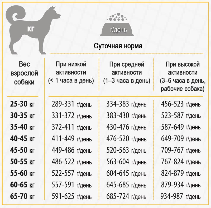 Каталог товаров для животных