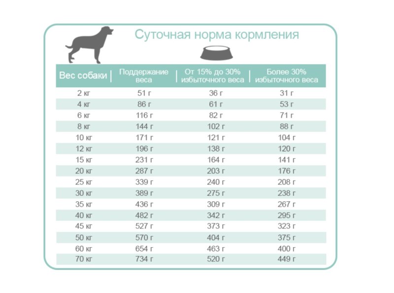 Каталог товаров для животных