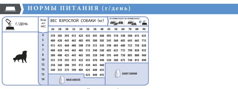 Каталог товаров для животных