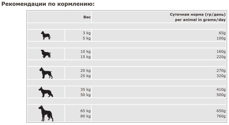 Каталог товаров для животных
