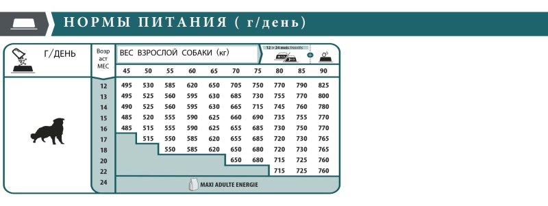 Каталог товаров для животных