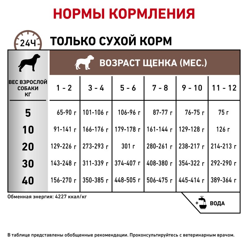 Каталог товаров для животных