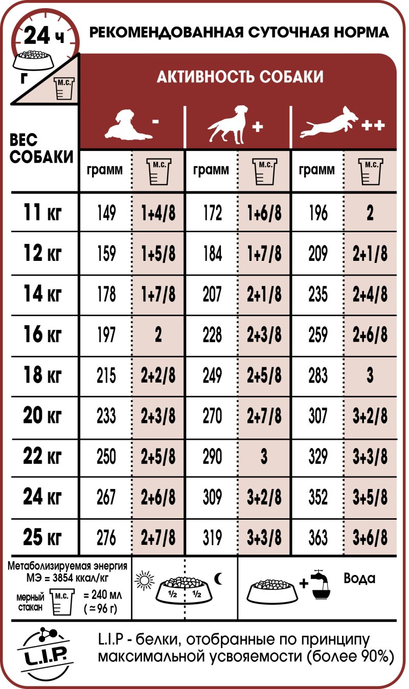 Каталог товаров для животных