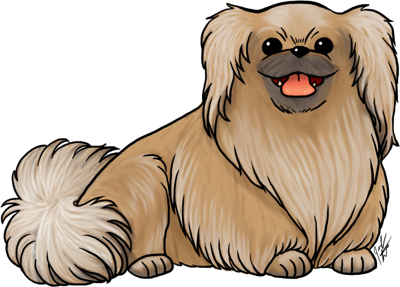 Pekingese вектор