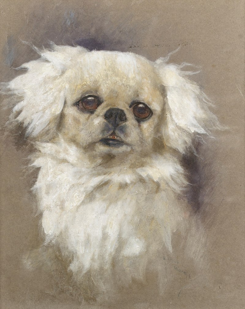 Arthur Wardle, RI ( 1864-1949). Британия
